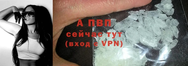 PSILOCYBIN Няндома