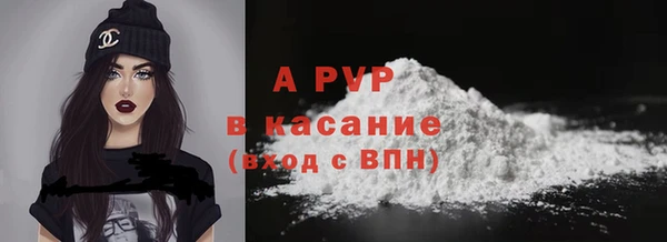PSILOCYBIN Няндома