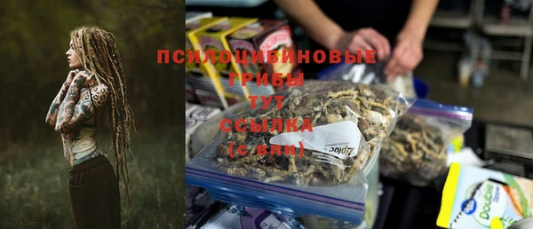 PSILOCYBIN Заводоуковск